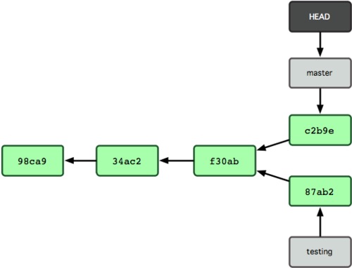 Figure 3. The last two commits (c2b9e and 87ab2) are isolated in separate branches. This image was taken from Pro Git book (respecting its Creative Commons License).